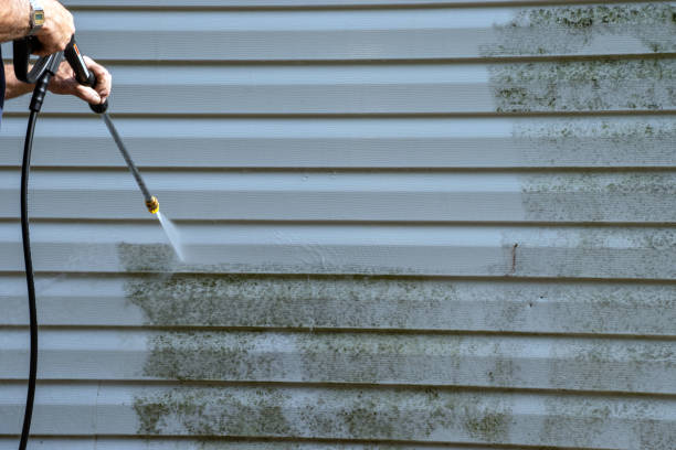 Best Same-Day Junk Removal Services  in Fairview, MT
